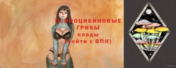 PSILOCYBIN Заволжск