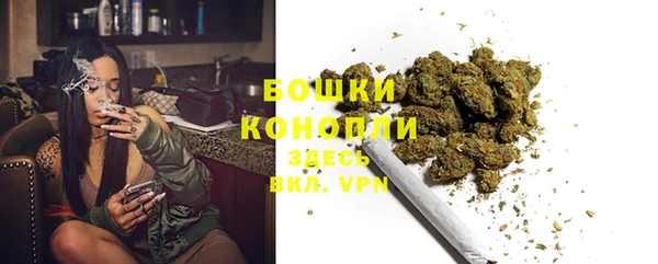 PSILOCYBIN Заволжск