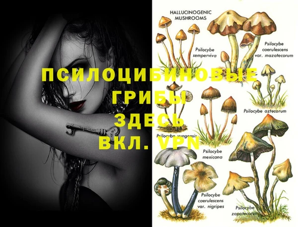меф VHQ Заводоуковск